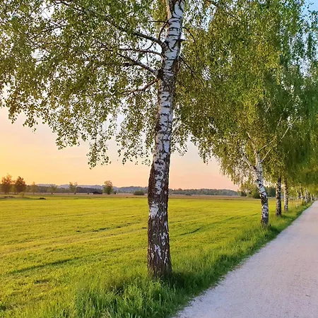 Schall - Erholung Mit Bergblick Und Chiemseenaehe Bernau am Chiemsee
